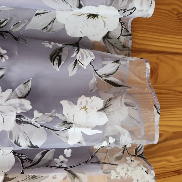 Sheer Dress - Picture 3 of 4